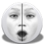 ZenDyn toolbar icon